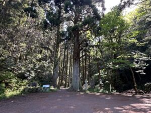壇鏡神社鳥居前