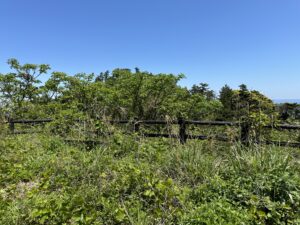 黒島展望台・島根隠岐